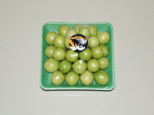 泰國青圓茄<青珍珠茄>