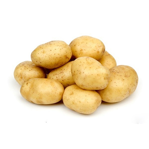 美國薯仔