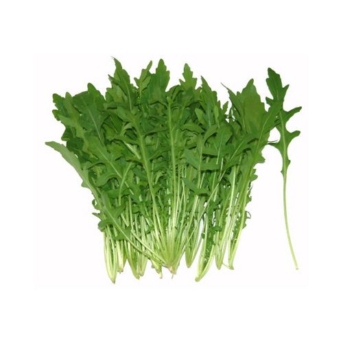 火箭菜