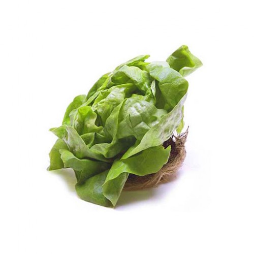 牛油菜