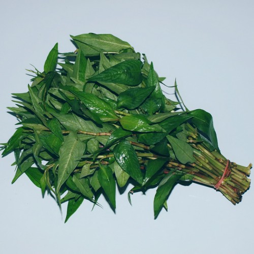 鮮辣鳥葉 