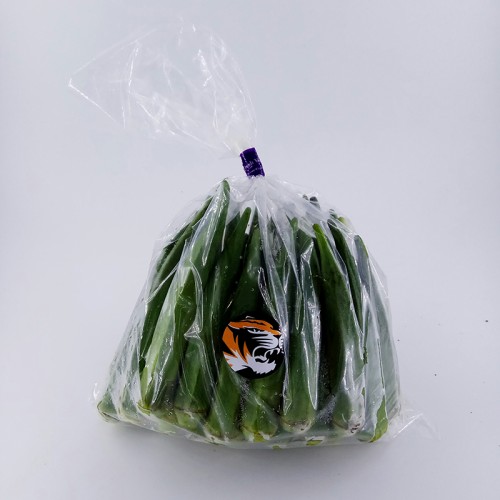 毛茄
