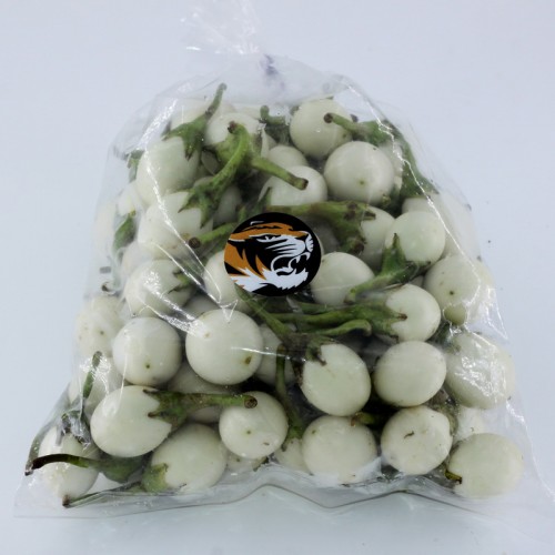 泰國白圓茄<白珍珠茄> 
