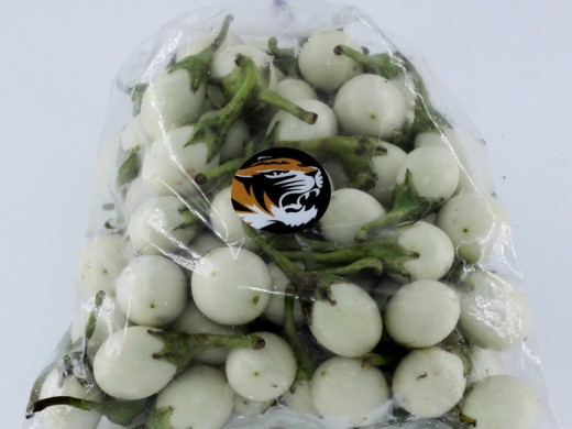 泰國白圓茄<白珍珠茄> 