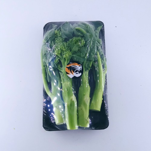 泰國蘭花苔 