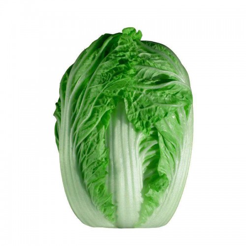 津白