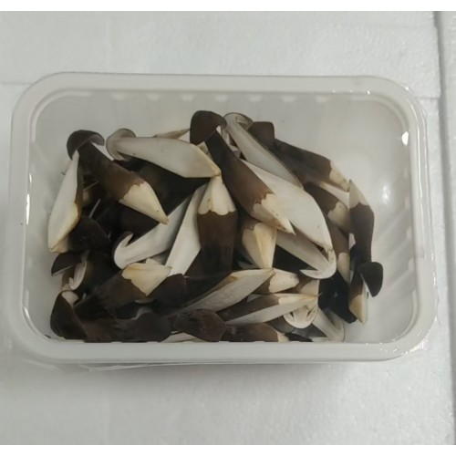 黑松茸1開2