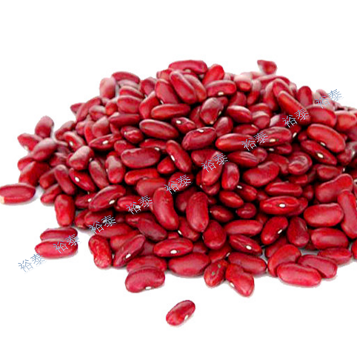 紅腰豆